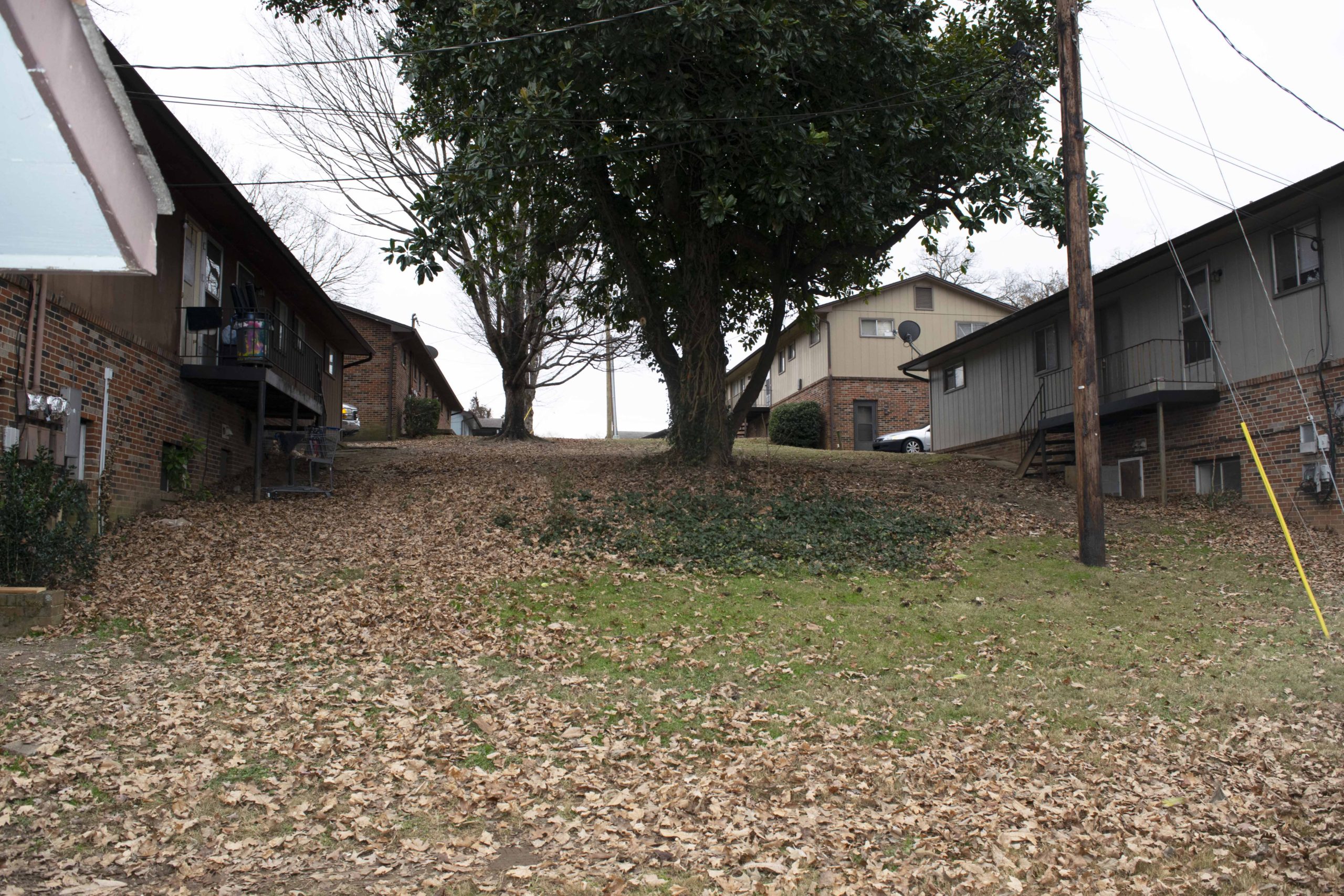 applewood